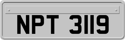 NPT3119