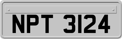NPT3124