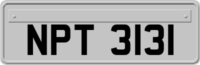 NPT3131
