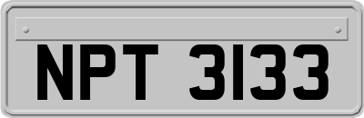 NPT3133