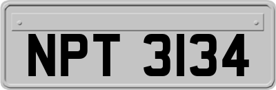 NPT3134