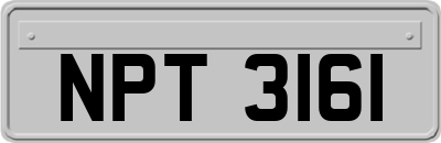 NPT3161