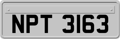 NPT3163