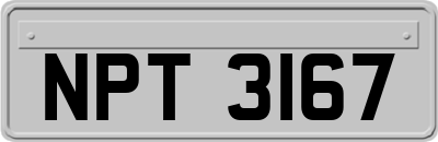 NPT3167