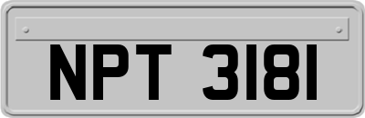 NPT3181
