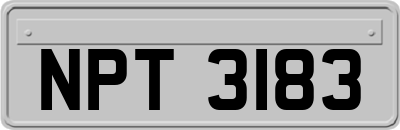 NPT3183