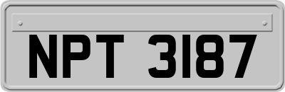 NPT3187