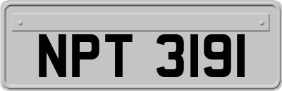 NPT3191