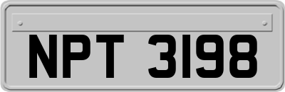NPT3198