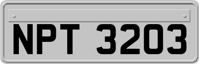 NPT3203