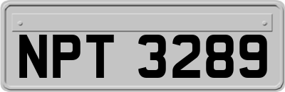 NPT3289