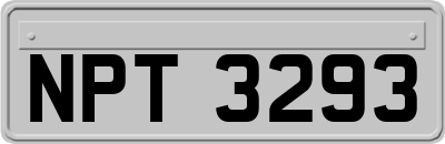 NPT3293