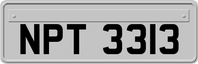 NPT3313