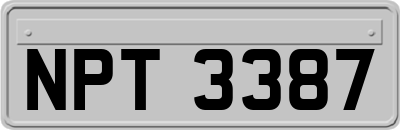 NPT3387