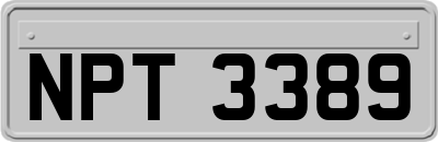NPT3389