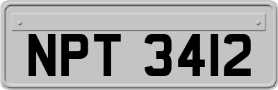 NPT3412