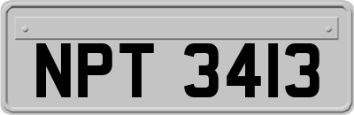 NPT3413