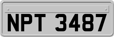 NPT3487