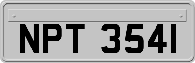 NPT3541