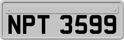 NPT3599