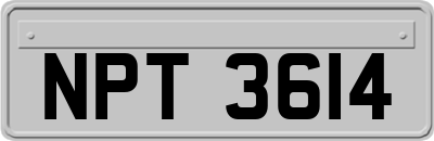 NPT3614