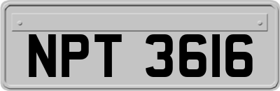 NPT3616