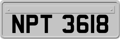 NPT3618