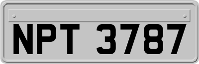 NPT3787