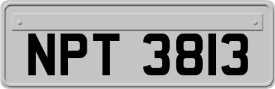 NPT3813