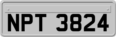 NPT3824