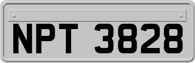 NPT3828