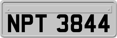NPT3844