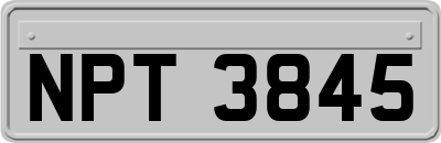 NPT3845