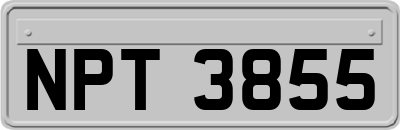 NPT3855