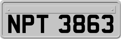 NPT3863