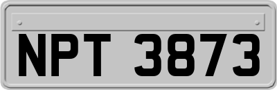 NPT3873