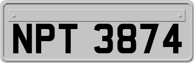 NPT3874