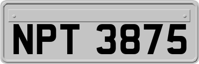 NPT3875