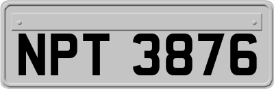 NPT3876