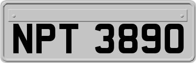 NPT3890