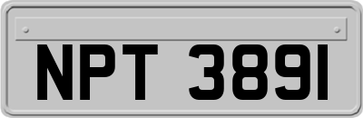NPT3891