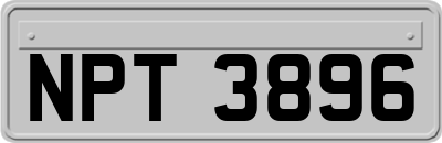 NPT3896