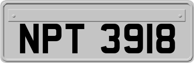 NPT3918