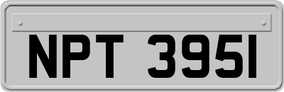 NPT3951