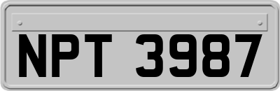 NPT3987