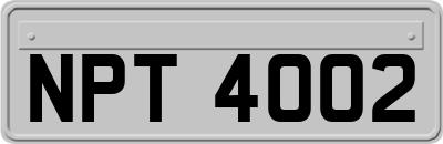 NPT4002