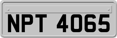 NPT4065