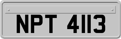 NPT4113