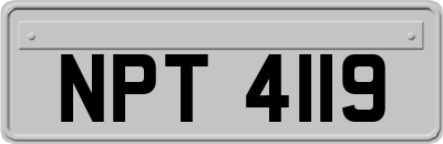 NPT4119
