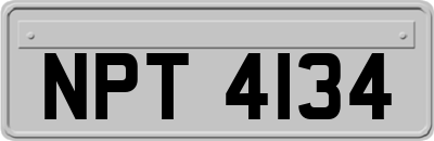 NPT4134